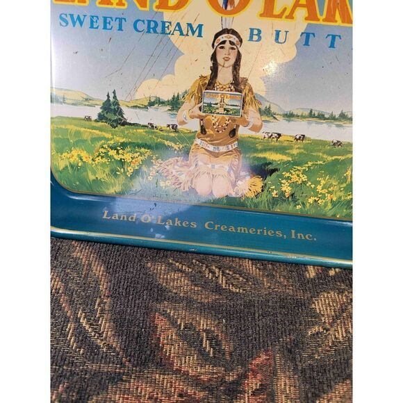 Vintage Retired Logo Land O' Lakes Serving Tray - Picture 2 of 9